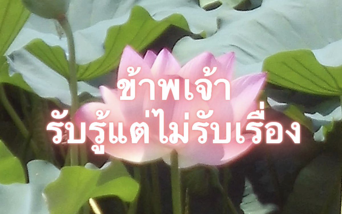 Iaunza's tweet photo. รู้แค่นั้น https://t.co/8xmbAEGF2o