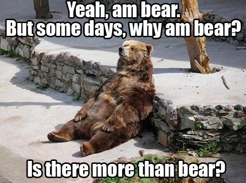 Bear1nCrisis's tweet photo. https://t.co/buYz3pLvMV