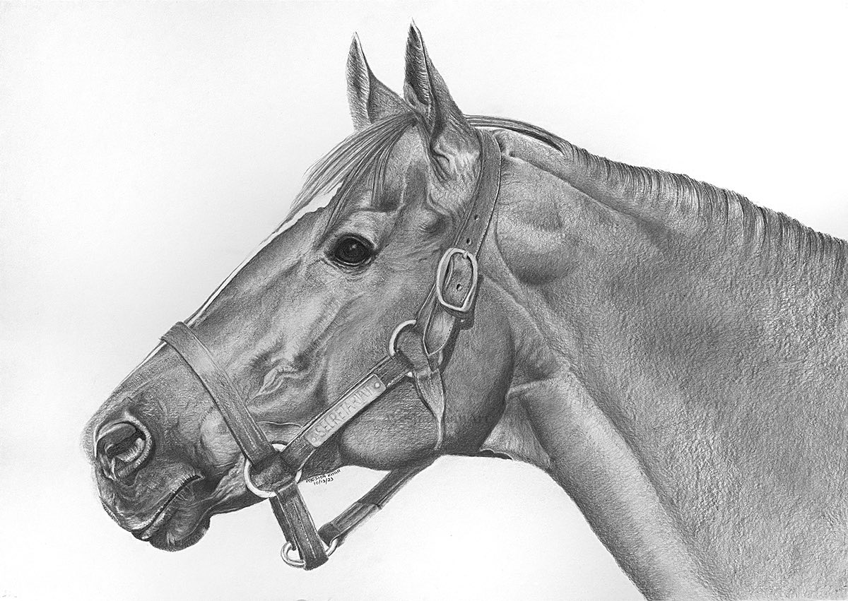 AyeshaKhanArt's tweet photo. Secretariat (March 30, 1970 – October 4, 1989)
37 years today Big Red passed away 💔
@secretariatfans @nmrhof @WHR @HR_Nation @horsevault @HORSERACING1002 @TheMeadowsO #secretariat #horseracing #bigred #thoroughbredhorse #art #equineart #Classichorse #graphiteart #oneandonly https://t.co/eJG6IyEF4I