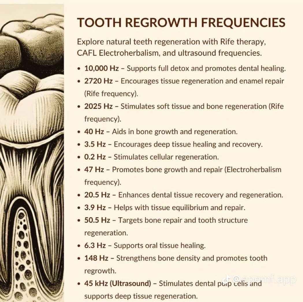 WikiLeaksQ's tweet photo. Key frequencies for tooth regrowth include:

  2720 Hz - Tissue and enamel regeneration

  2025 Hz - Bone and soft tissue repair

  47 Hz - Bone growth (Electroherbalism)

  45 kHz - Stimulates dental pulp cells (Ultrasound) https://t.co/g78mqg9szy