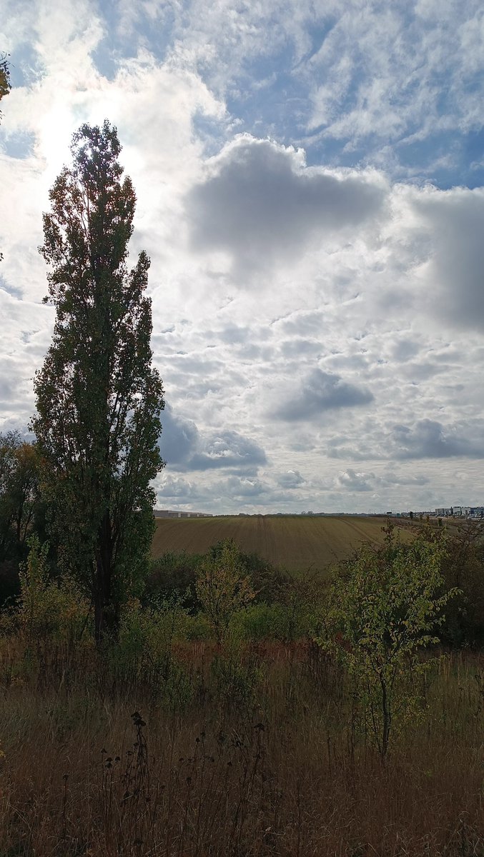 StasZlotko's tweet photo. https://t.co/JQBywfRbx8