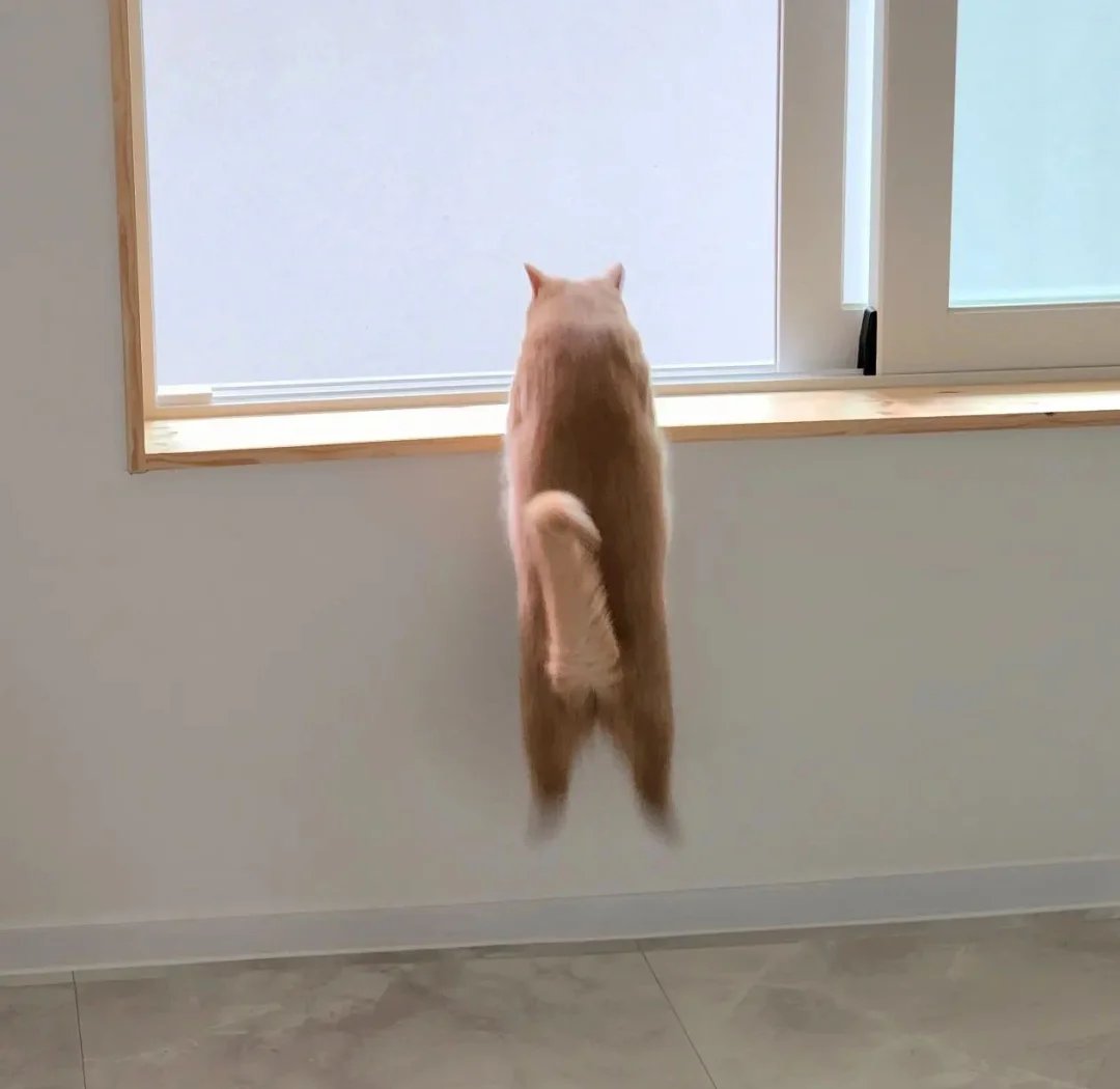Carolnaraujo21's tweet photo. Cool breeze slips through the open window, my little cat sneaks in quickly, carrying a puddle of muddy slop on its paws and leaving tiny prints on the floor. https://t.co/1MXPyTkCCK