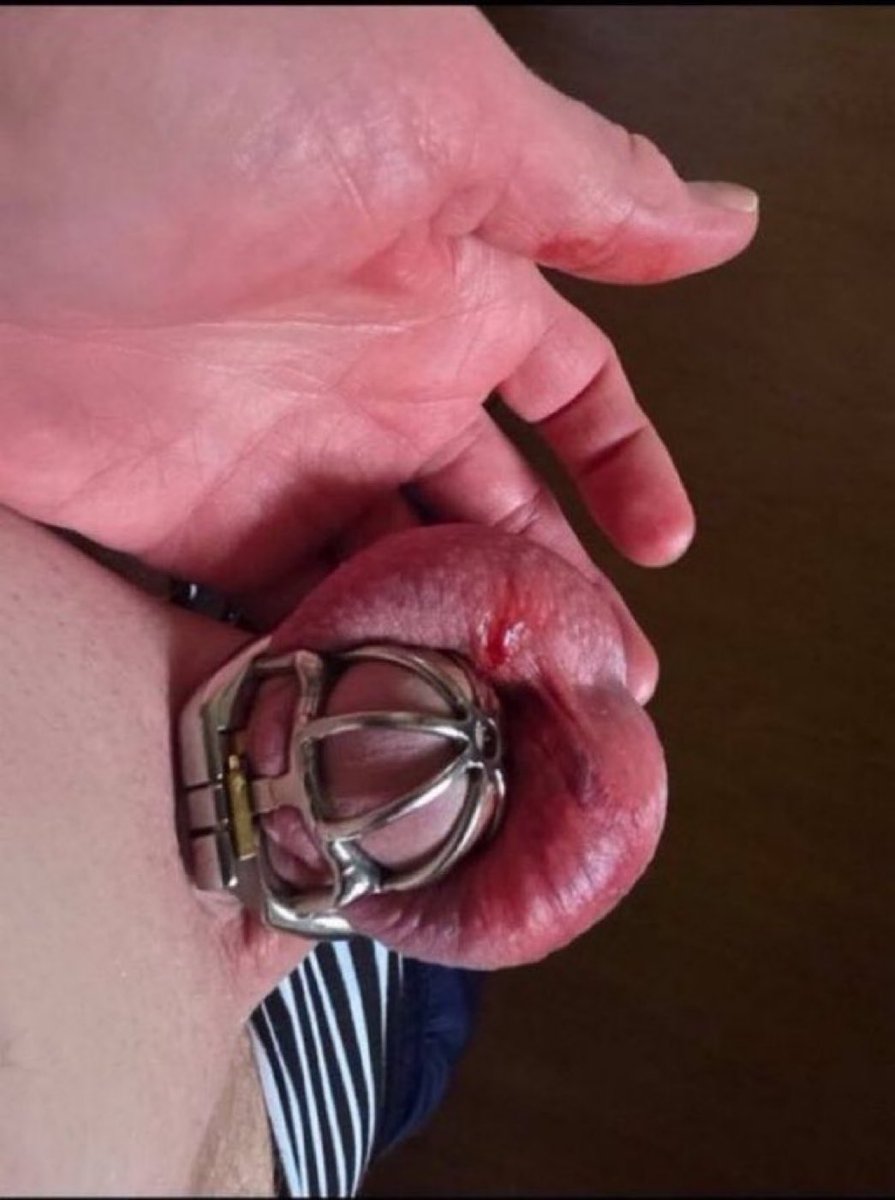 cash4evi's tweet photo. I'm ready to destroy some balls again 😈🔥

#findom #femdom #castration #ballbusting #paypig #nsfw #cbt #chastity #sissy #CNC https://t.co/GfJIUEmSdt