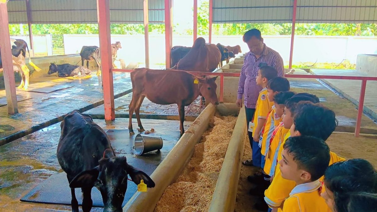 SunbeamSLN's tweet photo. Learning Beyond the Classroom! 

Our young learners embarked on an exciting Educational Field Trip, turning curiosity into real-life learning! 

From exploring crops to understanding farming practices, students experienced the magic of agriculture firsthand. https://t.co/fxDQYysYaI