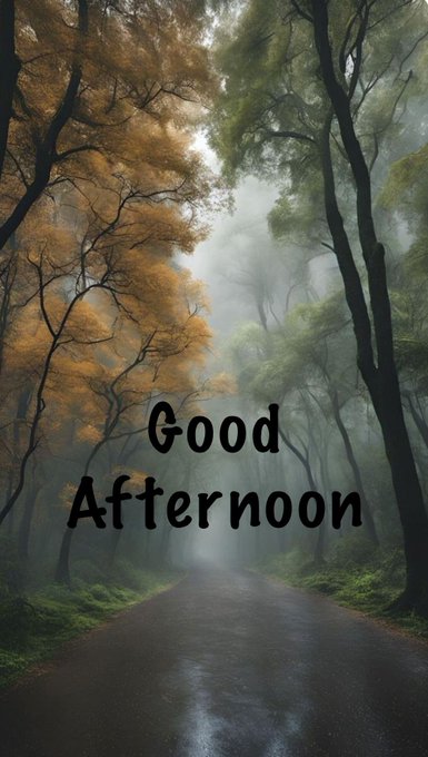 A misty forest road flanked by trees with autumn foliage, overlaid with the text 'Good Afternoon'.