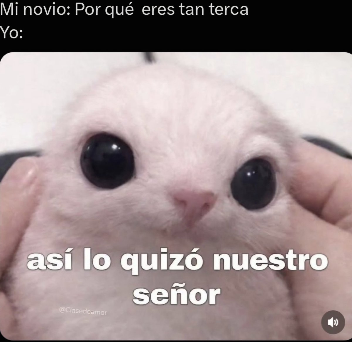 vera31094's tweet photo. Asi mismo https://t.co/cW4Qq9ATo9