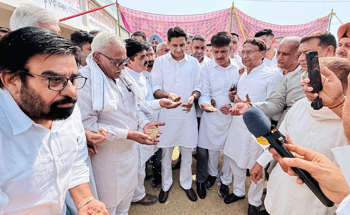 DeependerSHooda's tweet photo. आज इंद्री अनाज मंडी का दौरा कर किसानों, आढ़तियों व मजदूरों से मुलाकात की। मंडियों में फसल खरीद न होने की वजह प्रदेश का किसान परेशान है।

मुख्यमंत्री नायब सैनी जी ने 2024 के चुनाव में वादा किया था कि 8 अक्टूबर के बाद PR धान का ₹3100 प्रति क्विंटल का भाव दिलाएंगे। दुःख की बात यह है कि सरकार ने तीन सीजन बाद भी अपना वादा पूरा नहीं किया। अभी जो ₹2400 की MSP है, उस पर भी ₹200-₹400 का कट लगाकर कच्ची पर्चियों पर धान की खरीद हो रही है।

​हमारी मांग है कि मुख्यमंत्री जी PR धान की MSP ₹2400 से बढ़ाकर ₹3100 करने का अपना वादा पूरा करें। यदि MSP नहीं बढ़ाई जाती ह���, तो हुड्डा सरकार की तर्ज पर ₹700 का बोनस घोषित करके ₹3100 के भाव पर PR धान खरीदा जाए।

साथ करनाल लोकसभा से कांग्रेस प्रत्याशी रहे @DivyanshuB_raja जी, ग्रामीण जिलाध्यक्ष राजेश वैध जी, पूर्व विधायक राकेश कंबोज जी, पूर्व मंत्री भीम सेन मेहता जी, पूर्व विधायक धर्मपाल गोंदर जी, पूर्व ��िलाध्यक्ष सुरेंद्र नरवाल जी आदि।

@SanjaySDutt @BhupinderShooda @raonarenderinc @INCHaryana