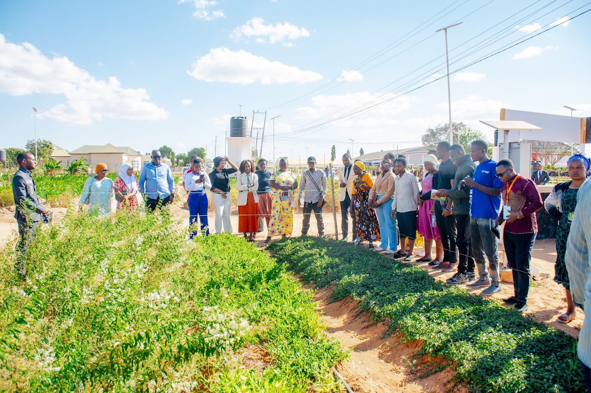 restlessdevtanz's tweet photo. Washiriki wa Kongamano la Vijana la Kitaifa la Kilimo Ikolojia katika Shamba Darasa

Washiriki wa Kongamano la Vijana la Kitaifa la Kilimo Ikolojia wametembelea Shamba Darasa, wakijifunza kwa vitendo kutoka kwa wakulima wenzao kuhusu mbinu bora za kuendesha kilimo chenye tija. https://t.co/eyavtSXI8l