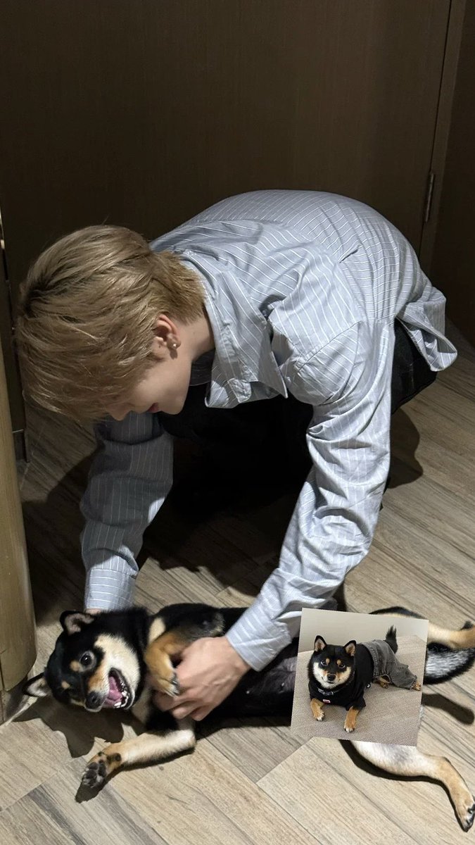 xlofmoment's tweet photo. 견권 보호 한결같음 https://t.co/Q4CQxpowCs