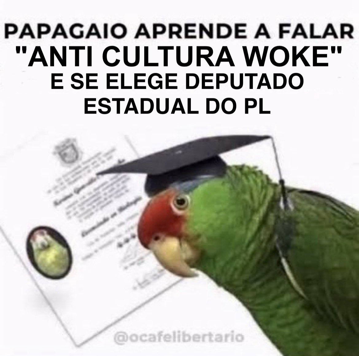 thebriba's tweet photo. 80% dos eleitos ontem https://t.co/AXf46Yt9M1