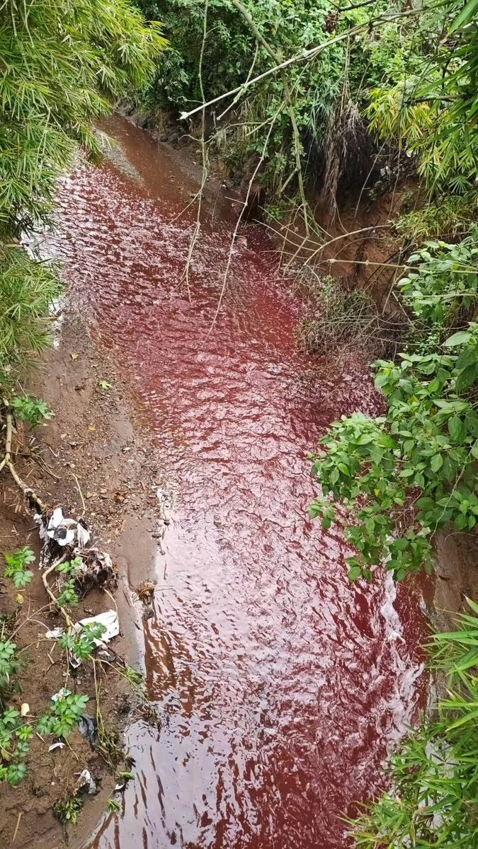 expo_corruptos's tweet photo. Río los vados Jurisdicción de San Pedro ayampuc muestra coloración roja misma que mostró el río las vacas hace un par de días atrás, me preguntó que hace el ministerio de ambiente en estos casos @IsaPaiz_ @discosbeagle @lanegrisgt @oco_motora @marnguate https://t.co/Er7lGG9tZ1