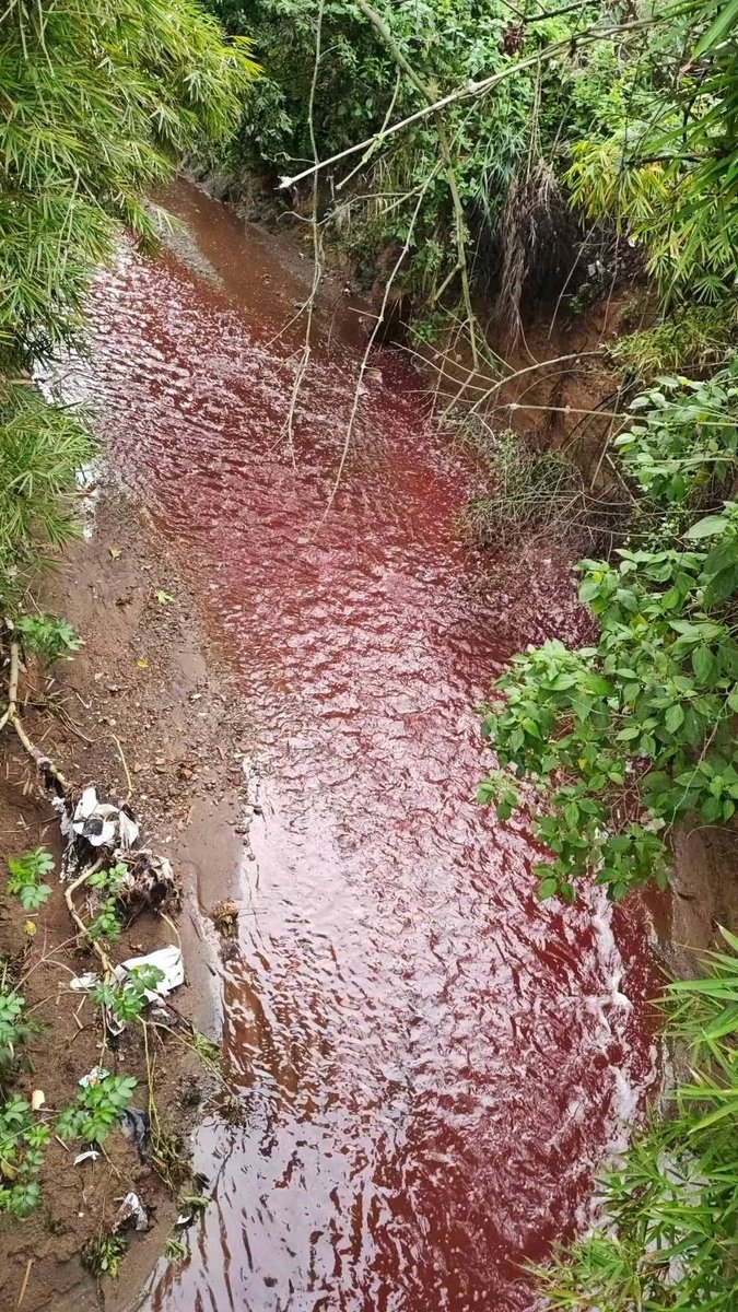 expo_corruptos's tweet photo. Río los vados Jurisdicción de San Pedro ayampuc muestra coloración roja misma que mostró el río las vacas hace un par de días atrás, me preguntó que hace el ministerio de ambiente en estos casos @IsaPaiz_ @discosbeagle @lanegrisgt @oco_motora @marnguate https://t.co/Er7lGG9tZ1