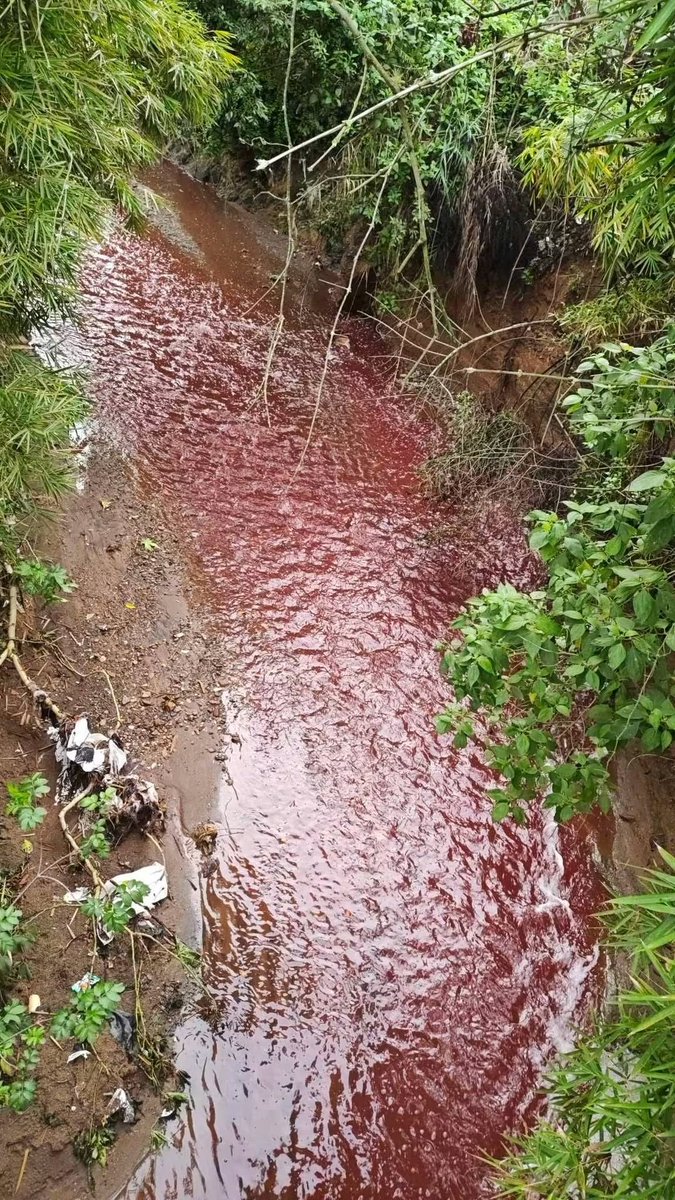 expo_corruptos's tweet photo. Río los vados Jurisdicción de San Pedro ayampuc muestra coloración roja misma que mostró el río las vacas hace un par de días atrás, me preguntó que hace el ministerio de ambiente en estos casos @IsaPaiz_ @discosbeagle @lanegrisgt @oco_motora @marnguate https://t.co/Er7lGG9tZ1