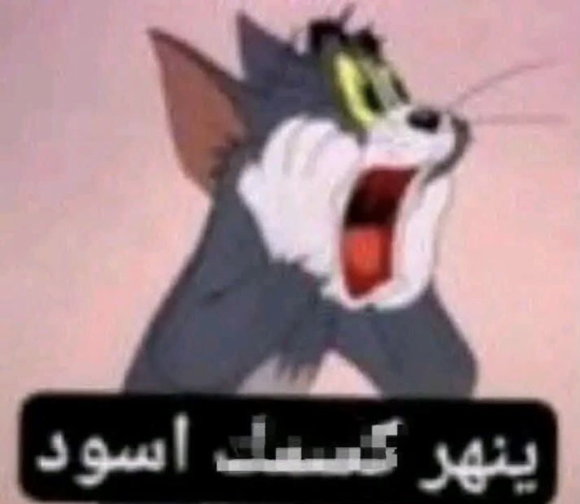 AnonAnon0X's tweet photo. @1ABBAS_1 بعد ما يقرا الورقه https://t.co/CiTb0huFUF