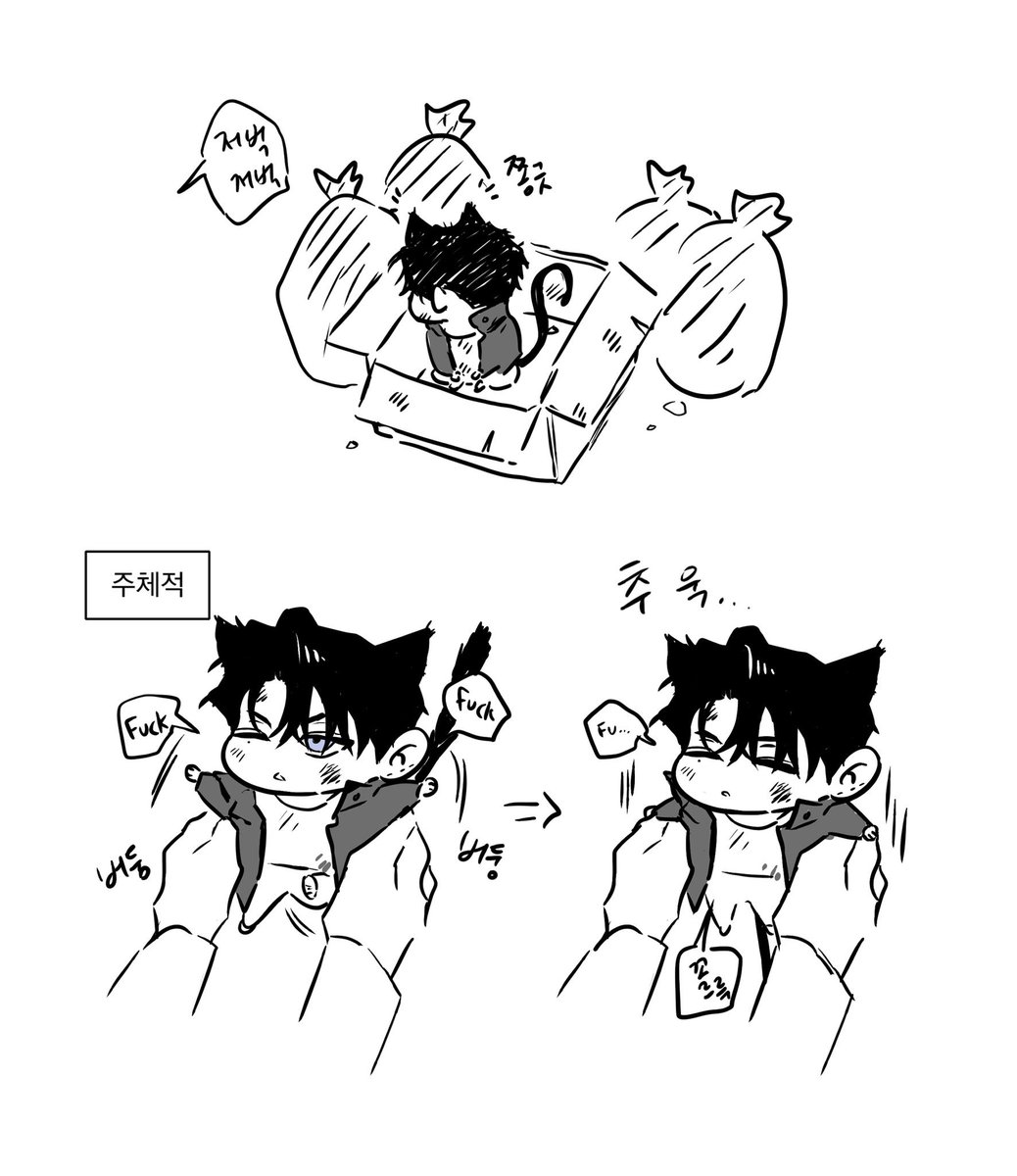 JooTseng's tweet photo. 길냥이 출신이라 그런지 성격도 조심스럽고 경계심이 많아서 이런 애는 무조건 인내심을 가지고 천천히 다가가면서 애가 원하는 대로 해주는 게 제일 좋은 것 같아 https://t.co/SvAjOja9Ld