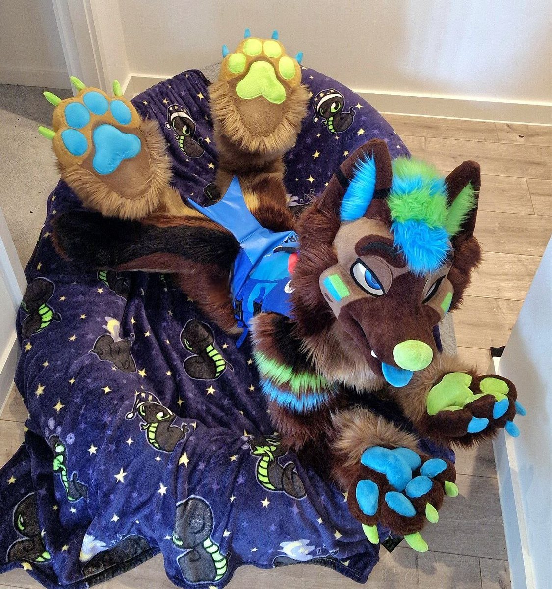 Shep_Dex's tweet photo. Paws and shep combo 🐾💙💚 https://t.co/2fCrcPFwQG