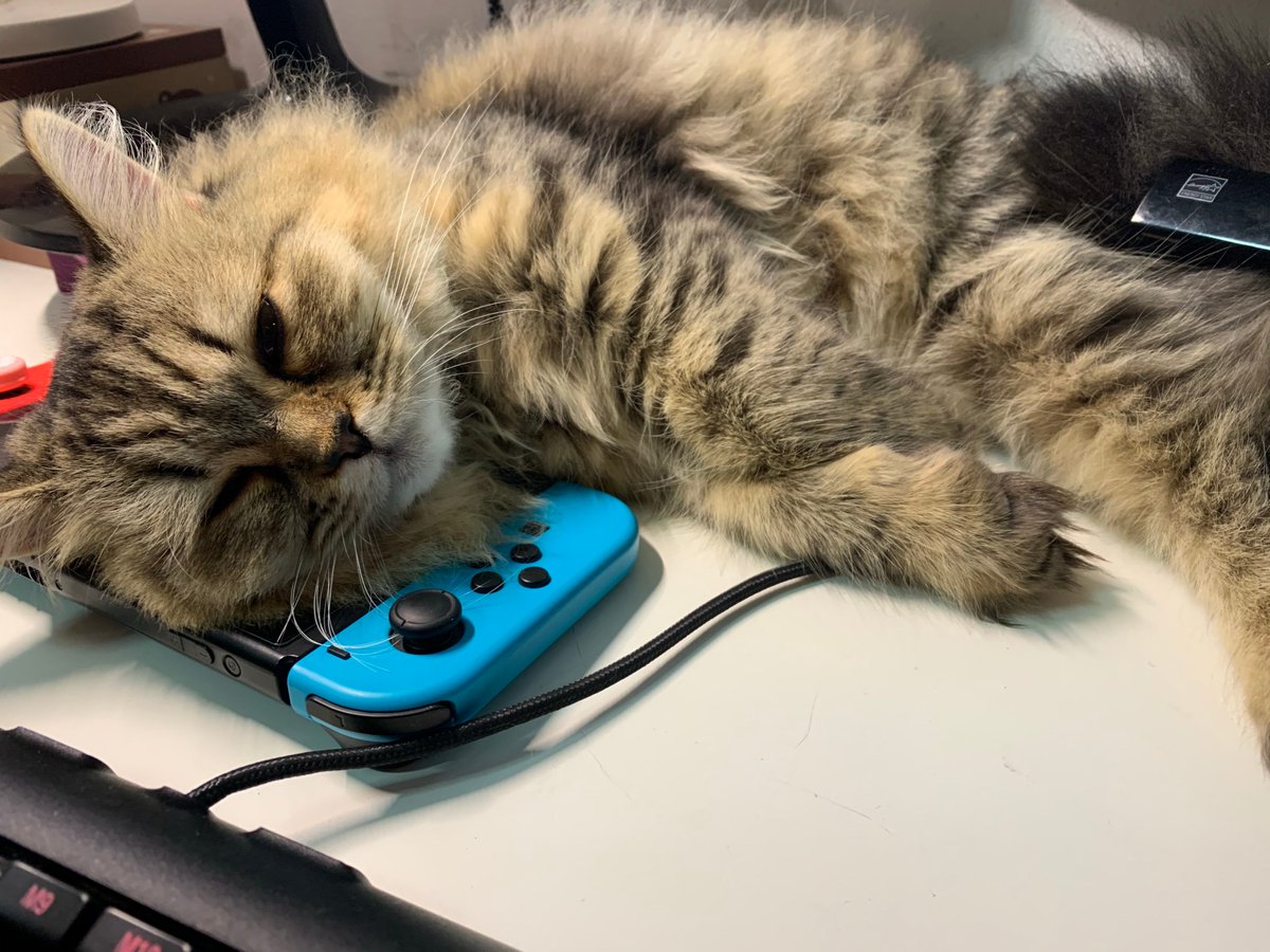 danilo60016664's tweet photo. [I flopped on the couch, found a spring reed whistle, and played a tune happily.]， https://t.co/lhgSmT6dTb
