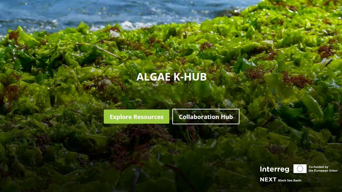 BlackSeaBasin's tweet photo. 🌊Meet Algae K-Hub — a new international knowledge &amp; innovation platform supporting marine environmental protection and sustainable blue growth in the #BlackSeaBasin.
Developed by #AlgaeRevive Project with partners from 🇧🇬 🇷🇴 🇬🇷 🇬🇪 🇺🇦
👉Read more: https://t.co/8OEo3eL7h5 https://t.co/Ssl4PoHK0N