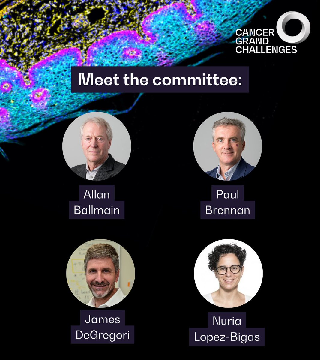 CancerGrand's tweet photo. New conference announced!

📅 29 September - 1 October 2027
📍Royal Society, London

Full programme, registration details and speaker line-up will be announced soon.

🔗 Find out more and join the waitlist: https://t.co/PAG5TFN0sv https://t.co/Q094R2Y7oV