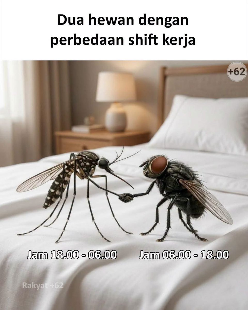 sosmedkeras's tweet photo. Dua shift https://t.co/6aYQ5ZUB9A