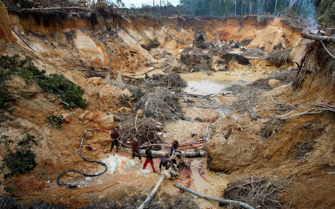 sinohepallotta's tweet photo. "...barbarie, despojo, devastación y ecocidios". https://t.co/Xsz264ad5U