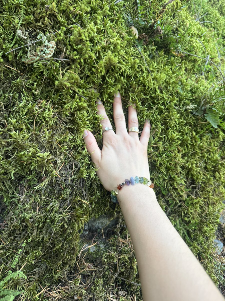 ogbuuug's tweet photo. your sign to go touch moss https://t.co/YybkAb8Q1O