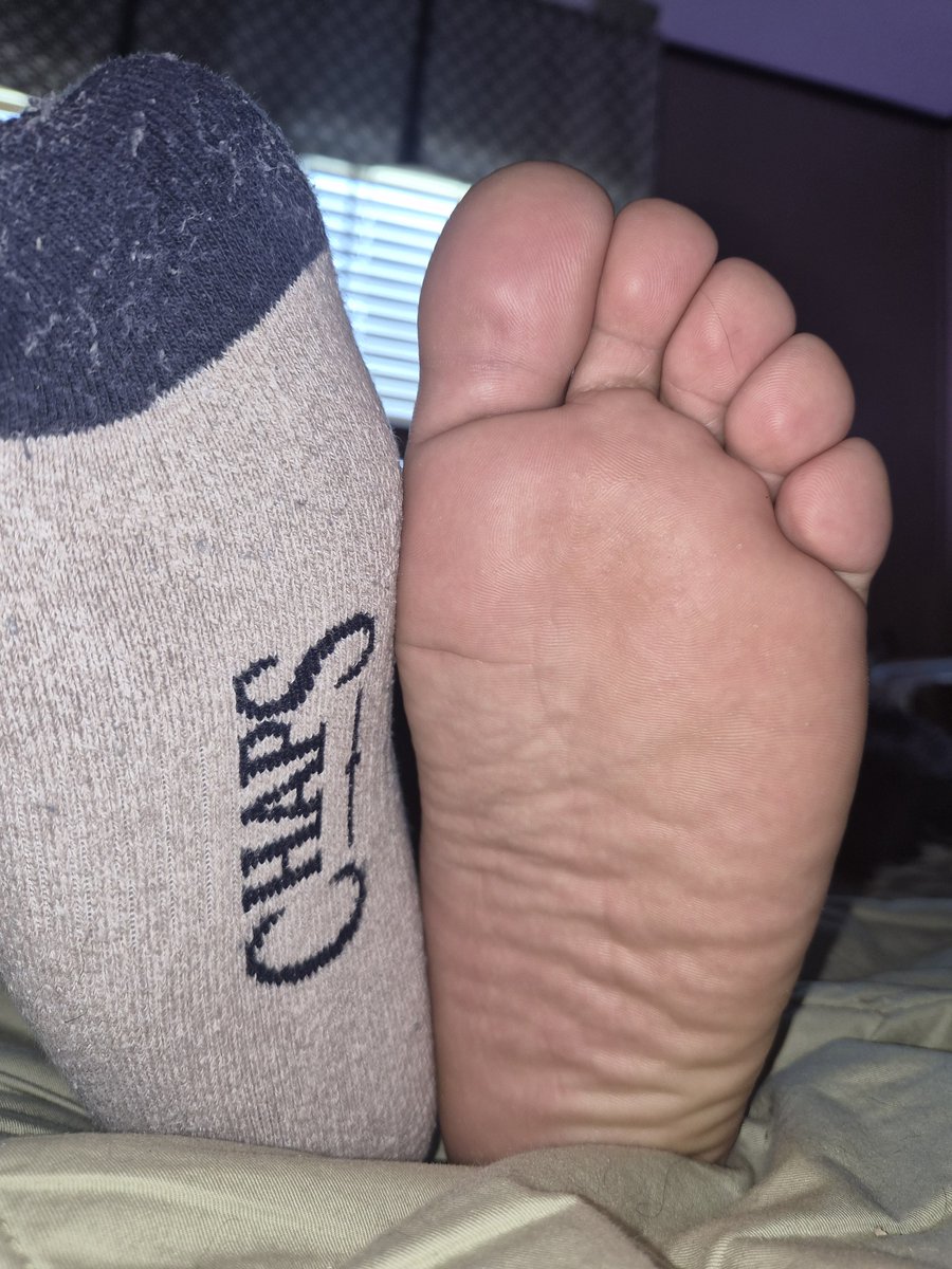 steelpanzer's tweet photo. Can't go wrong with socks and pawws :3 https://t.co/Plyvqtihls
