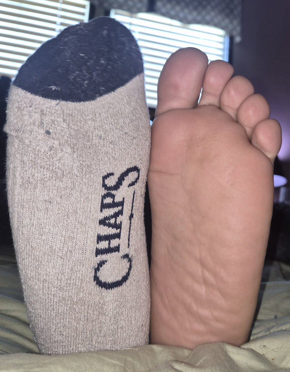 steelpanzer's tweet photo. Can't go wrong with socks and pawws :3 https://t.co/Plyvqtihls