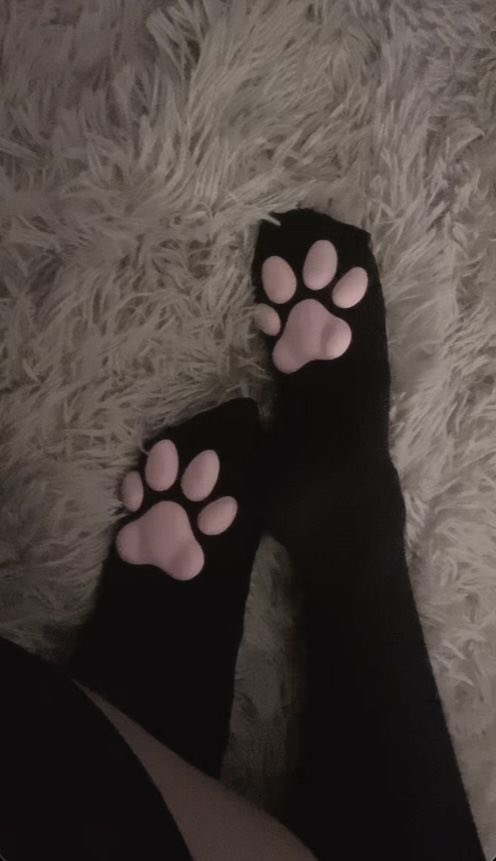 begonyourkneess's tweet photo. I’m a kitty https://t.co/bF8CAtAxUP