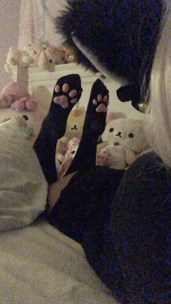 begonyourkneess's tweet photo. I’m a kitty https://t.co/bF8CAtAxUP
