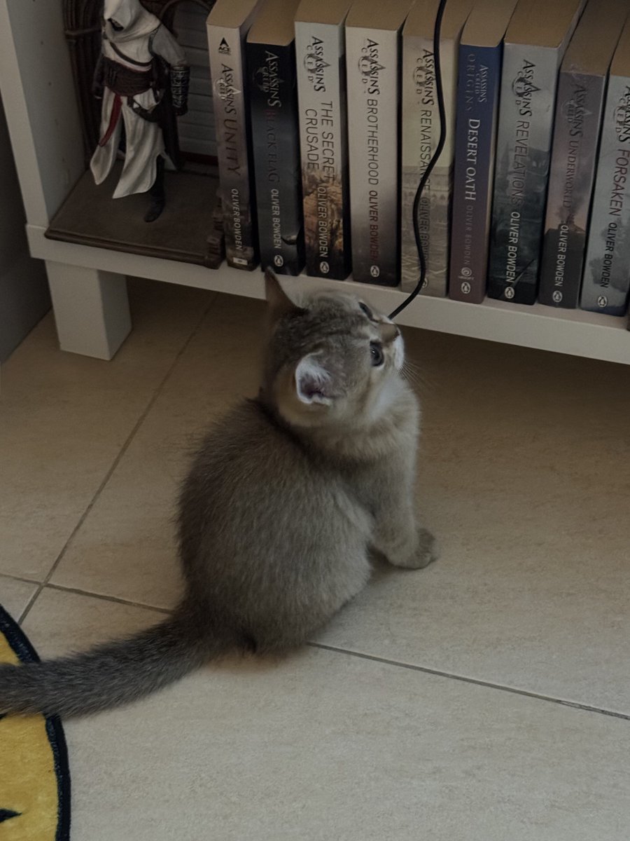 heregyth's tweet photo. بنتي الجديدة🥰 https://t.co/mfAonpHVJH