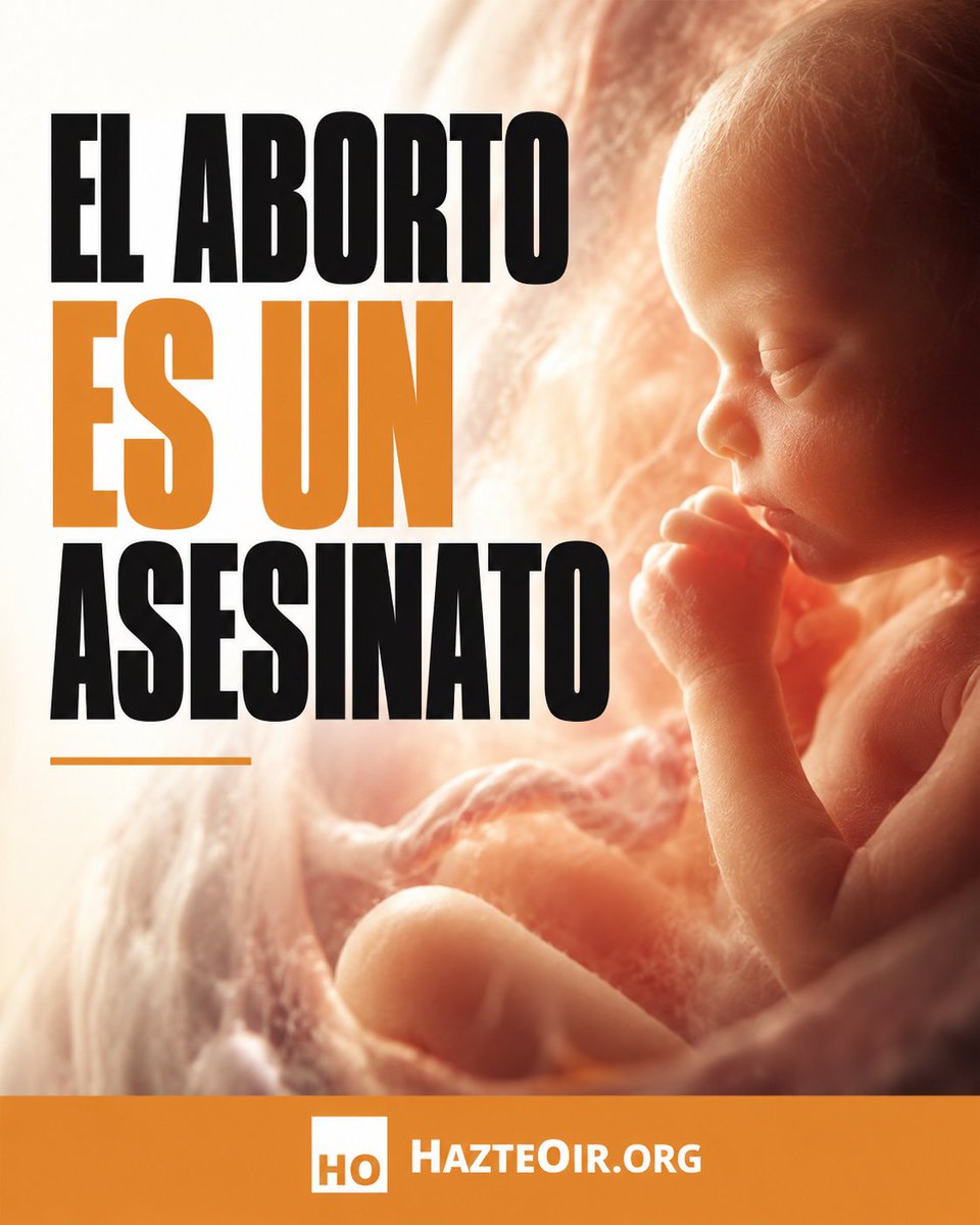 hazteoir's tweet photo. 👶 El aborto es un asesinato.

No podemos llamar progreso a acabar con la vida del más vulnerable. Toda vida humana merece protección, cuidado y una oportunidad.

Desde la concepción hasta la muerte natural.

La vida no se negocia. Se defiende. https://t.co/gEGotjsTYF