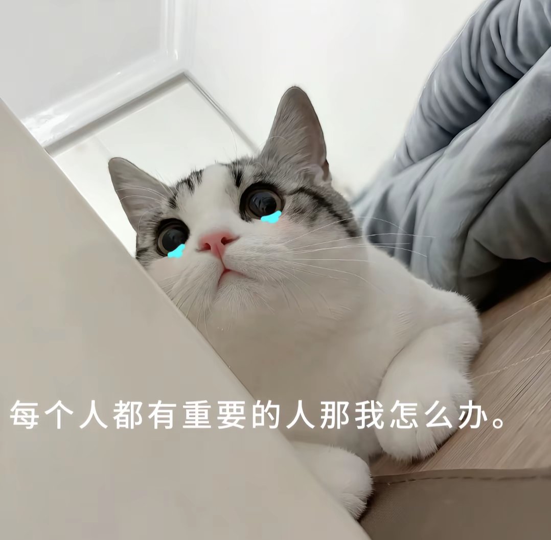 Lai1127y's tweet photo. https://t.co/Ye1XpGwIZ8