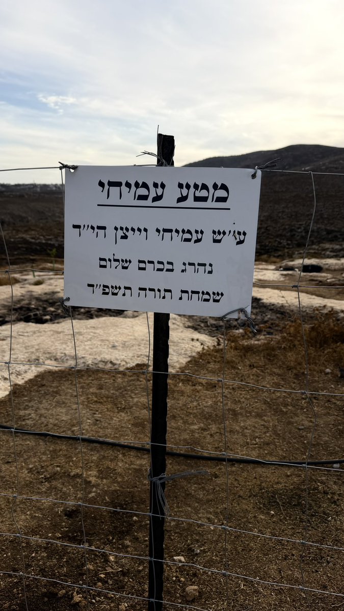 Ron198413's tweet photo. 🚨 ״תזמינו, תזמינו. המשטרה איתנו״.

שקיעה בחירבת מראג׳ם. השמיים מרהיבים, ועל הקרקע שלושה מתנחלים מתעמרים בחאלד דעאוד, בתוך אדמתו.

מהבוקר חאלד מתחנן למשטרה שתבוא. הפרות בתוך השטח המגודר שלו מחסלות את העצים והמתנחלים בנתיים ממשיכים לגדר להם את האדמה שלו להקים את ״מטע עמיחי״ ומגייסים גם את ההנצחה להשתלטות על אדמה פלסטינית☹️
בערב, כשהמתנחלים חזרו, חזרנו גם אנחנו. הפעם עם הרב אריק אשרמן. כשאריק אומר להם שהזמנו משטרה, הם עונים: ״תזמינו, תזמינו. המשטרה איתנו״(דקה 2:00 בסרטון).

ואז מגיע שוטר. על המדים שלו תג של הר הבית. ומה הוא אומר? שמותר להם לרעות את הפרות בתוך השטח הפרטי של חאלד. הוא לא מסלק אותם‼️
היום נפל דבר בישראל‼️
עד היום זה לא קרה. שוטר שמחליט על דעת עצמו שלמתנחלים מותר לעשות כרצונם בשטח פלסטיני פרטי‼️

אני עומדת שם ולא מאמינה. אדם על אדמתו, מתחנן להגנה, ומולו מתנחלים שיודעים מראש שהמשטרה לצדם. ואז השוטר מגיע ומוכיח שהם צודקים.

״המשטרה איתם״. הם אמרו את זה בעצמם.

#OngoingNakba #Apartheid