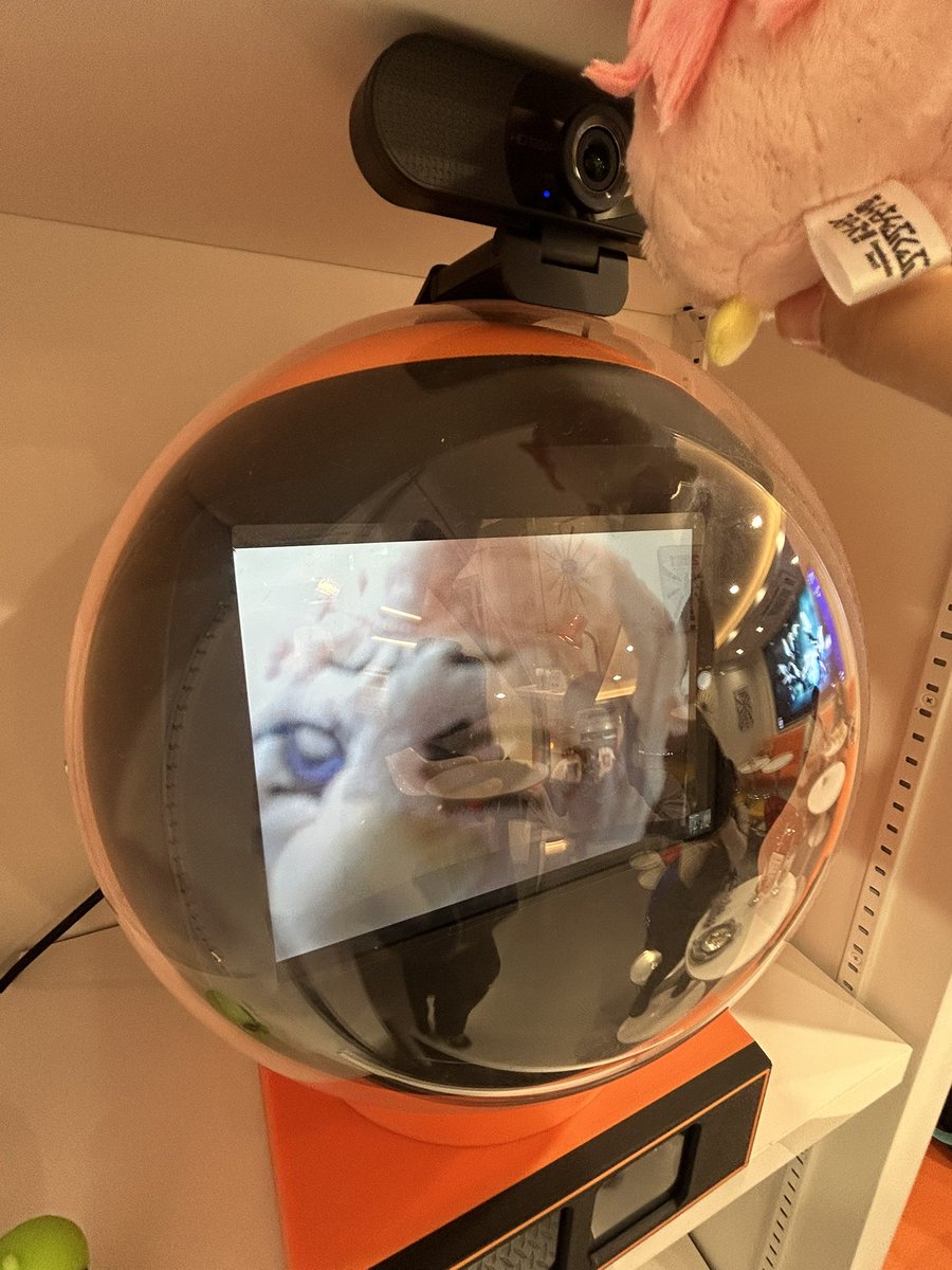 supisupi1012's tweet photo. 妹とカフェ活🚀👽 https://t.co/LXgSuhFIFN