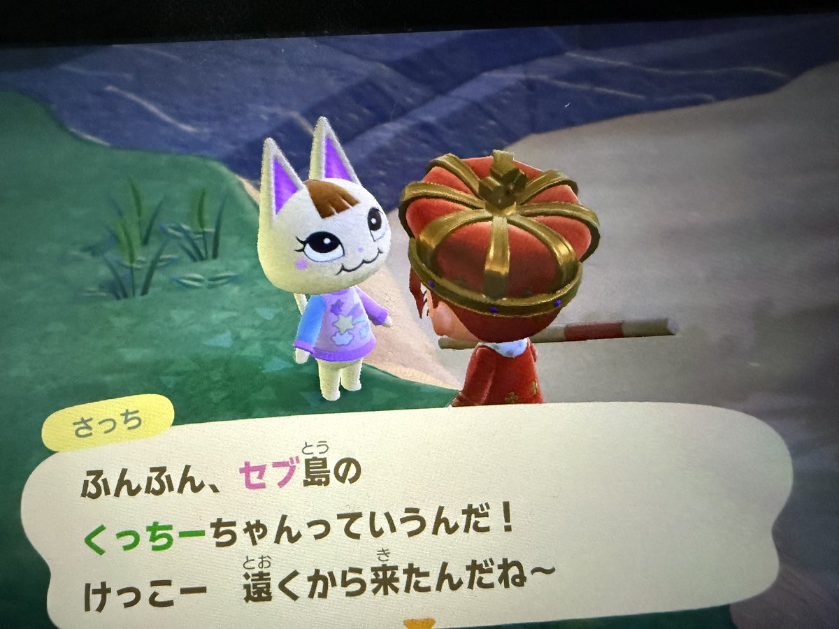 kazumi_man10's tweet photo. すみません、Nintendoさん。
パネル詐欺の被害に遭いました。
可愛いって思ってたのに！！！！ https://t.co/V6sOOiTW6L