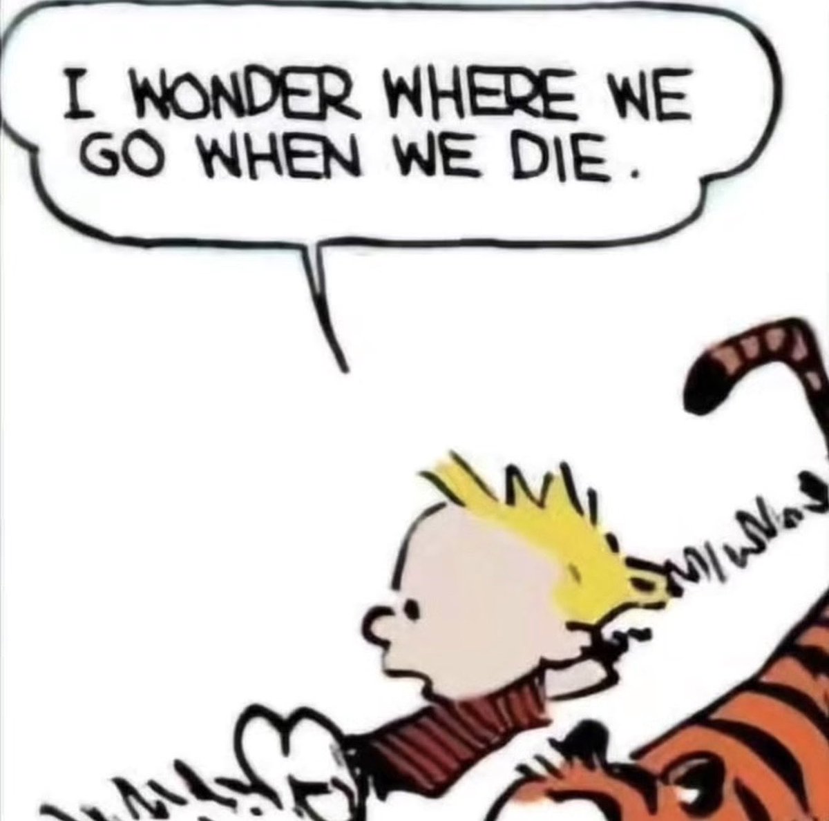 calvinposting's tweet photo. https://t.co/2tasy8FGHA