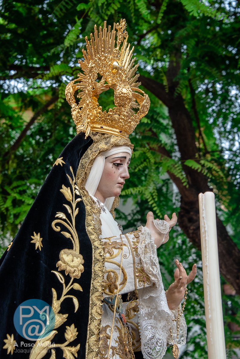 apasomuda's tweet photo. .@columnayazotes Galería fotográfica del Rosario Vespertino con la imagen de María Stma. de la Victoria #LasCigarreras de #Sevilla
#ColumnaYAzotes26
#VictoriaCigarreras
#TDSCofrade
https://t.co/FzHoap3e2P https://t.co/dDMRbAOUBg