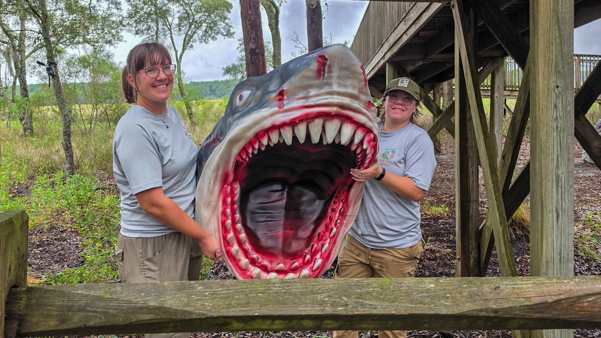 Jimmydreamsmb's tweet photo. The staff at Huntington Beach State Park really do a wonderful job getting the park looking scary for Halloween. If you are in the area, stop by and take a ride around and see all the cool things the put up. 😊🎃🎃👍
@SC_State_Parks @EdPiotrowski @AndrewWMBF @Use2BTwiiter https://t.co/XBR7Z1q2ss