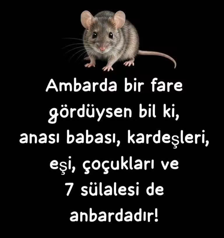 HasanGokdas's tweet photo. https://t.co/eXFrIhKL4W
