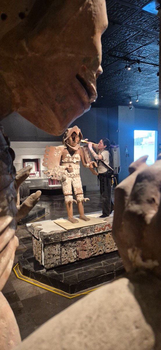 MusTemploMayor's tweet photo. 🦅Ponen guapo al guerrero águila 
Los lunes que el museo está cerrado al público, personal de Restauración realiza labores de limpieza y conservación en algunas piezas, esta vez tocó al guerrero águila.
🤔¿Cuál es tu pieza favorita de nuestro acervo? Queremos saber https://t.co/qt3qdncoyZ