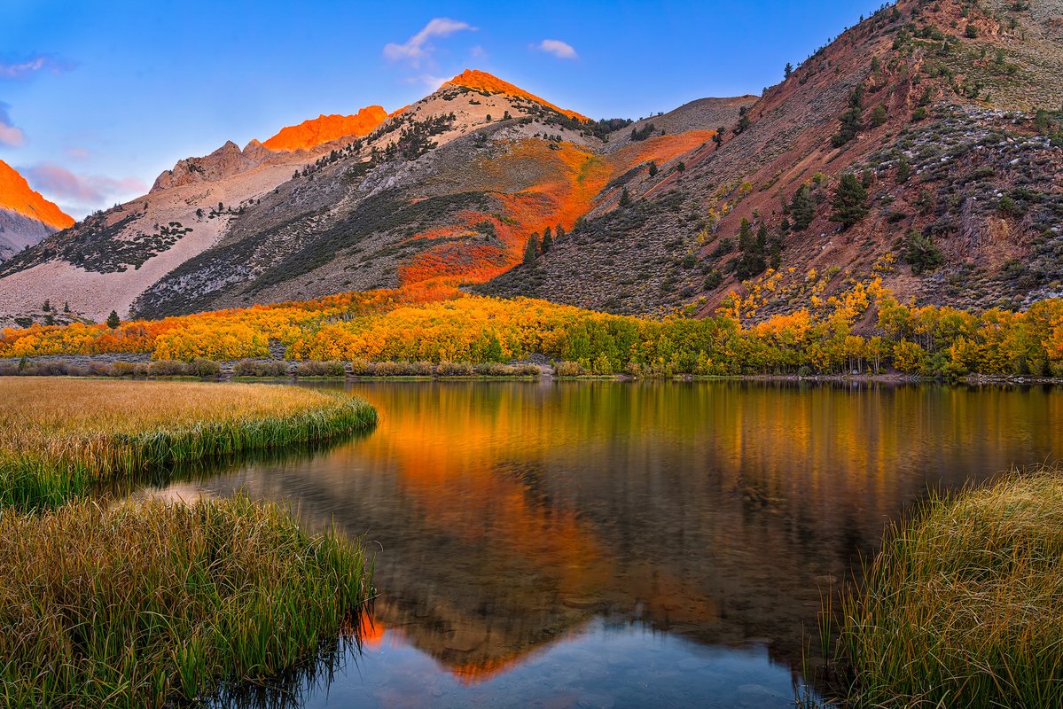 shrkshtr's tweet photo. Another one of my favorite fall color locations is North Lake in the eastern Sierra heading west out of Bishop, California. I captured this scene just as alpenglow light lit the peaks behind the lake. I was assisting Gary Hart in his annual Eastern Sierra Workshop. https://t.co/zyi06ZPbuz