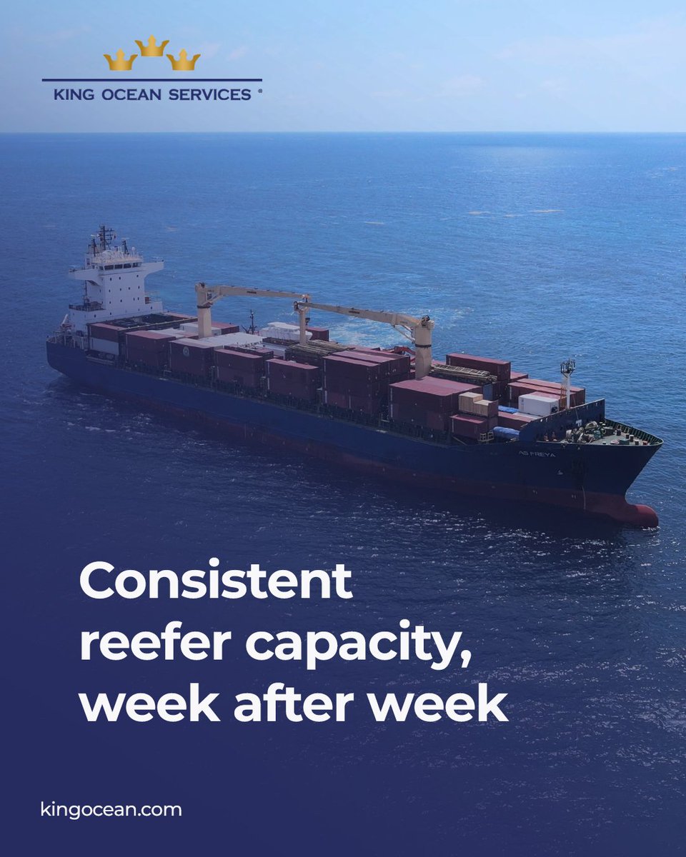 KingOceanSvc's tweet photo. King Ocean Services moves refrigerated cargo from Peru to the U.S. with consistent service for temperature-sensitive products.
📩 Contact us to ship fresh blueberries and other refrigerated goods from Peru: https://t.co/ugBfMpC6oG
#reefercargo #coldchainlogistics #perutrade https://t.co/Ju4ct3kmwn