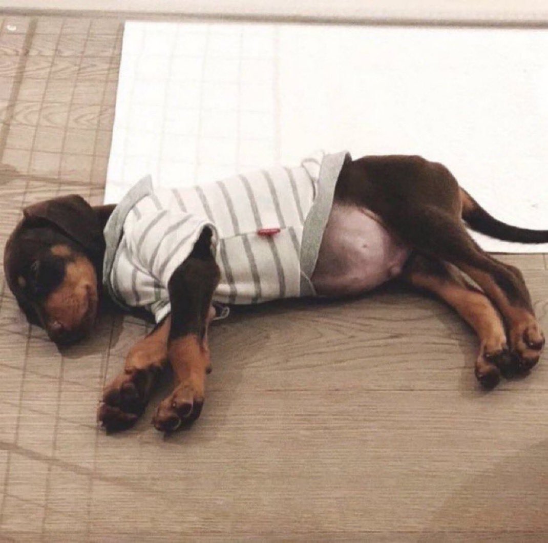 koogifs's tweet photo. thinking about this picture of baby bam today https://t.co/omNp7qrKy9