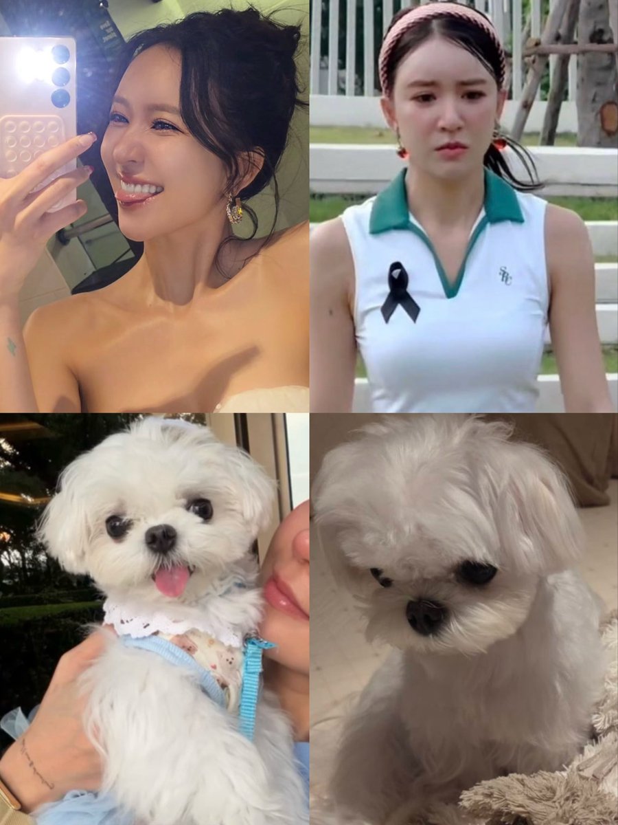 kimynry's tweet photo. น่าย๊ากกกกก ≽^• ˕ • ྀི≼🐈‍⬛🎀

 ⋆✿ #จูนณัณณิริณ #junenannirin ⋆✿ https://t.co/mlyMQbXoOJ