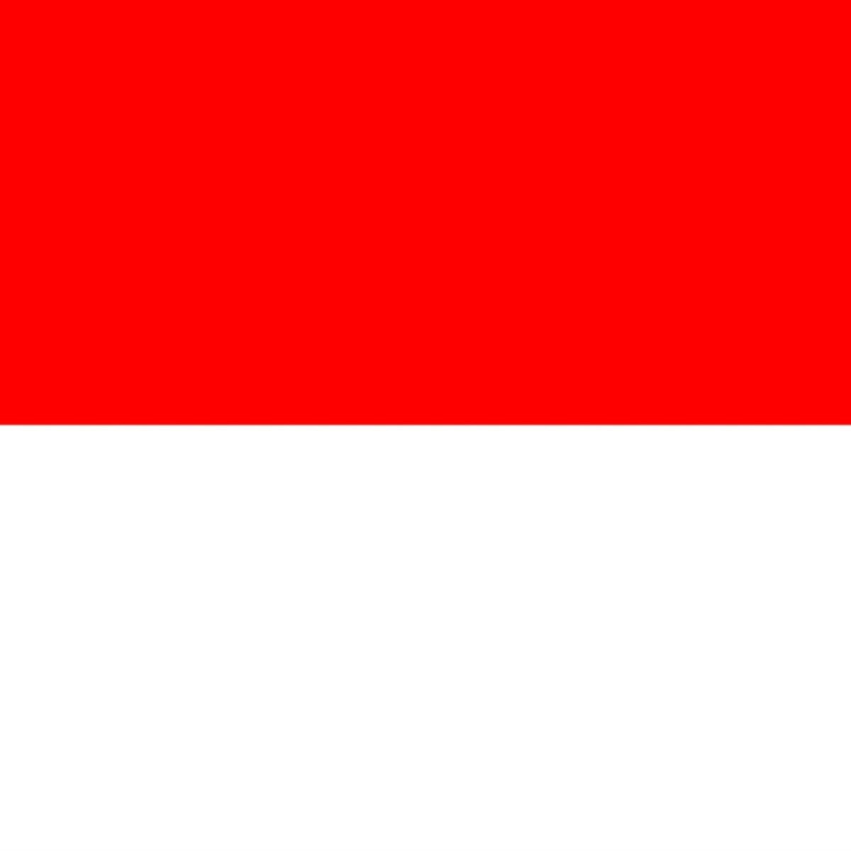 iPopBase's tweet photo. Indonesia wins the first edition of the FIFA ASEAN Cup, defeating Thailand. https://t.co/kdqW2atA4F