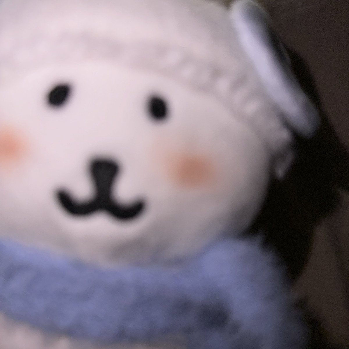 sssssvoki's tweet photo. Nagano ⦁  ̫ ⦁𓈒𓂂𓏸 https://t.co/Jka8mRopFu