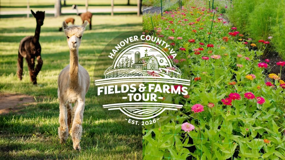 HanoverVa's tweet photo. Discover Hanover County’s agricultural heritage during the inaugural Fields &amp; Farms Tour on October 10! 🐂

✨ Free admission
🚜 Self-guided adventure
🌻 Farms, flowers, animals &amp; more

Choose your own adventure and plan your route at https://t.co/WRuY6yaG9Z

#HanoverVA https://t.co/zBXvJUYH2i