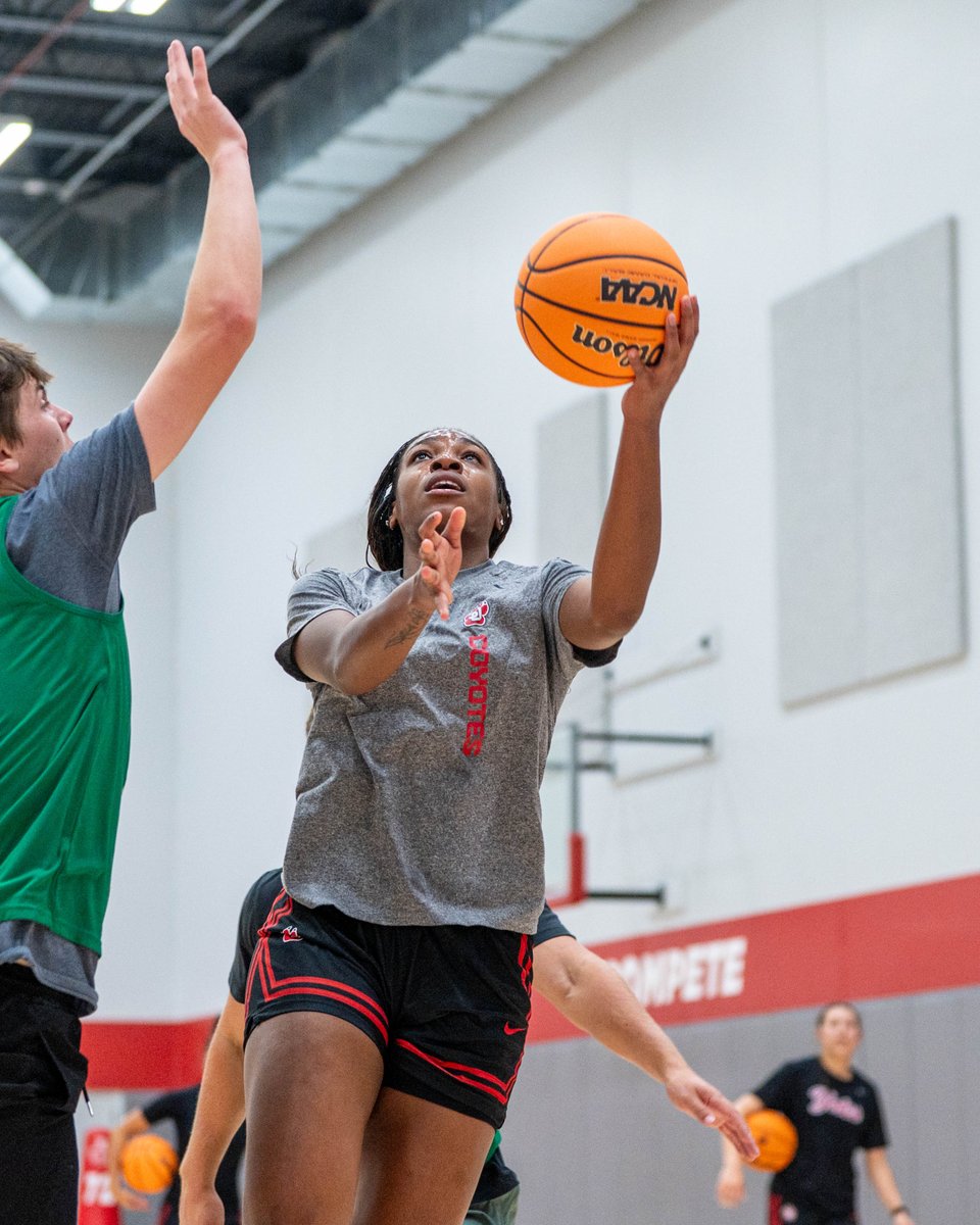SDCoyotesWBB's tweet photo. Four Mondays until gameday β³
#GoYotes https://t.co/I0B2bzeAf6