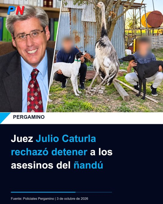memeworschitz's tweet photo. @clarincom https://t.co/zPQ5Ye0n54